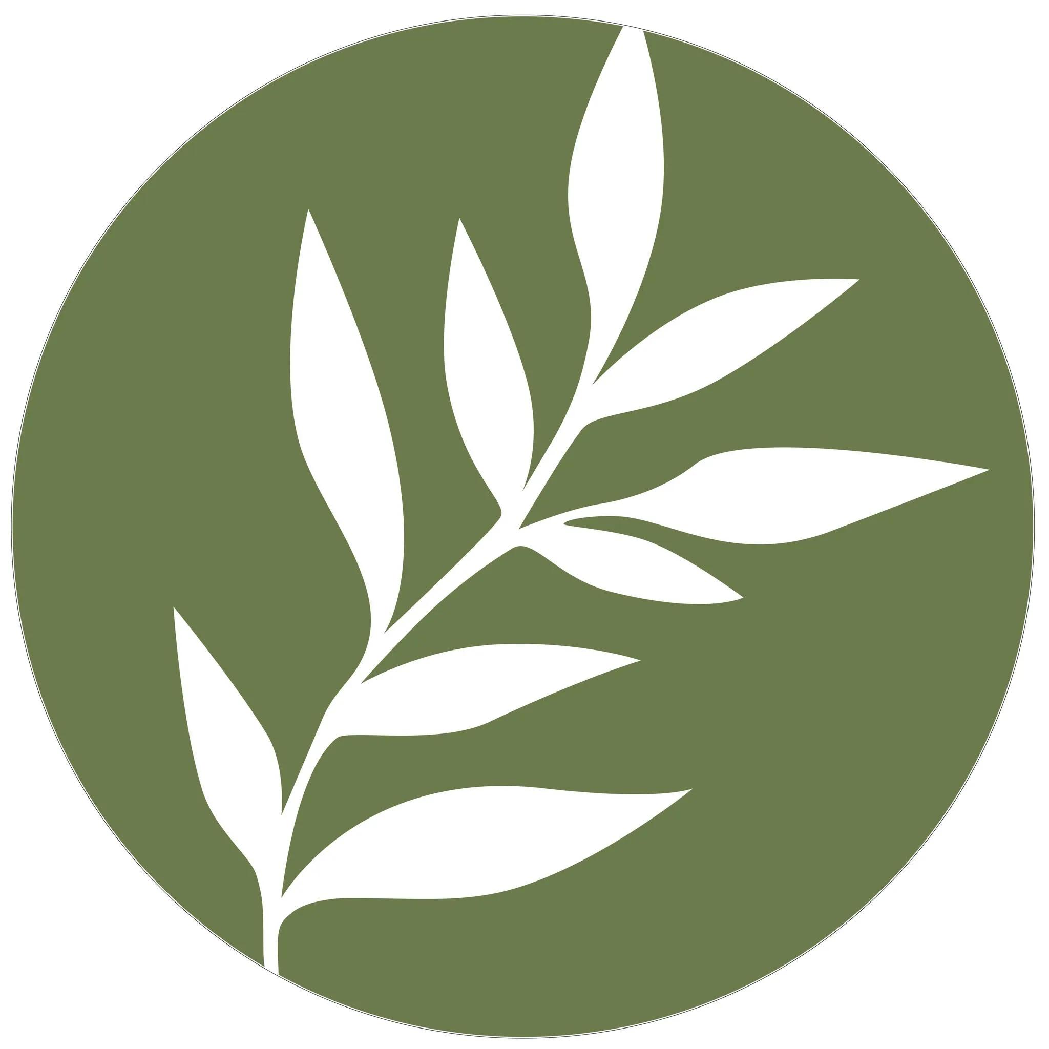 ProsperPlan Wealth Introduces New Website to Simplify Financial Decision-Making